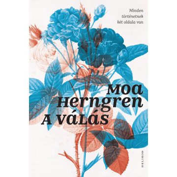 Moa Herngren: A válás