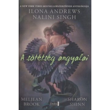 Ilona Andrews, Nalini Singh: A sötétség angyalai