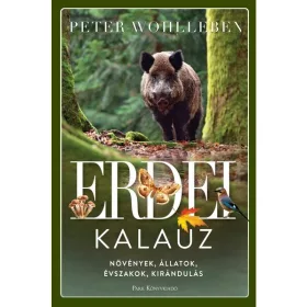   Peter Wohlleben: Erdei kalauz - Növények, állatok, évszakok, kirándulás