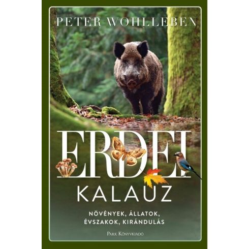 Peter Wohlleben: Erdei kalauz - Növények, állatok, évszakok, kirándulás