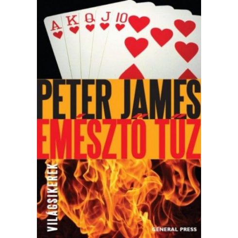 Peter James: Emésztő tűz