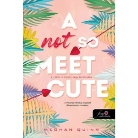   Meghan Quinn: A Not So Meet Cute - A (nem is olyan) nagy találkozás - Cane Fivérek 1.
