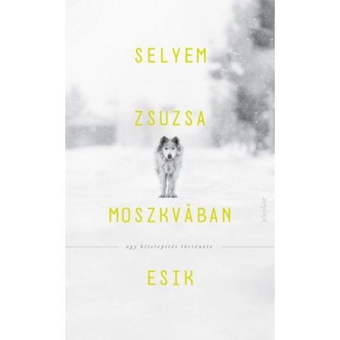 Selyem Zsuzsa: Moszkvában esik