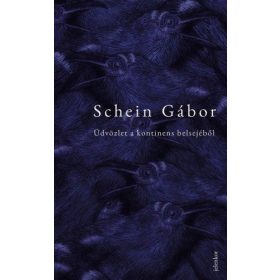 Schein Gábor: Üdvözlet a kontinens belsejéből