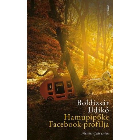 Boldizsár Ildikó: Hamupipőke Facebook-profilja