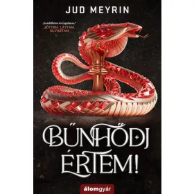 Jud Meyrin: Bűnhődj értem!