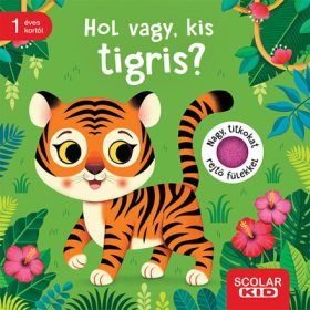 Mila Rulff: Hol vagy, kis tigris?