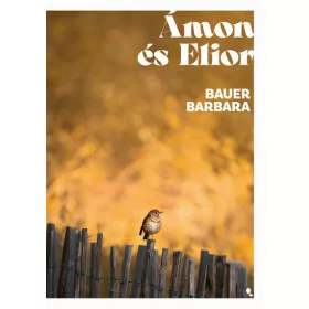 Bauer Barbara: Ámon és Elior