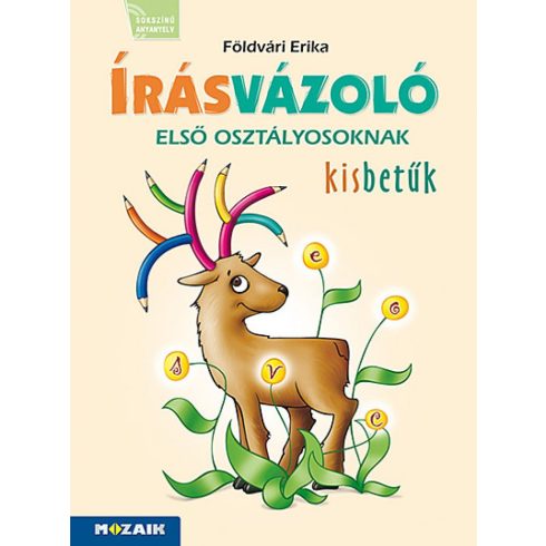 Földvári Erika: Írásvázoló 1. osztályosoknak ? Kisbetűk (MS-1651V)