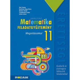   Árki Tamás, Konfárné Nagy Klára, Kovács István, Trembeczki Csaba, Urbán János Dr.: Sokszínű matematika középiskolásoknak, feladatgyűjtemény megoldásokkal, 11. osztály (MS-2324)