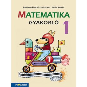   Ratkóczy Gáborné: Matematika gyakorló 1. osztály (MS-1663U)
