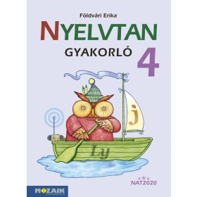   Földvári Erika: Nyelvtan gyakorló 4. osztály - (MS-1650U)