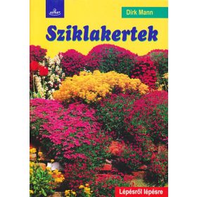   Dirk Mann: Sziklakertek – Lépésről lépésre (antikvár)