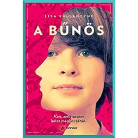 Lisa Ballantyne: A bűnös (antikvár)