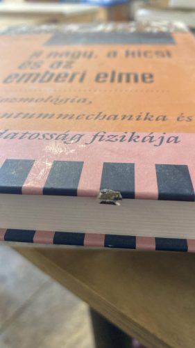 PENROSE, ROGER-HAWKING, STEPHEN: A NAGY, A KICSI ÉS AZ EMBERI ELME (antikvár)