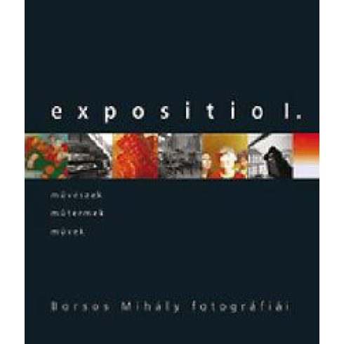 Gosztonyi Ferenc: Expositio 1. - Borsos Mihály fotográfiái