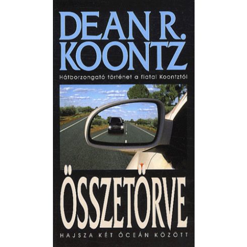 Dean R. Koontz: Összetörve