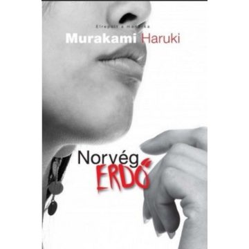 Murakami Haruki: Norvég erdő