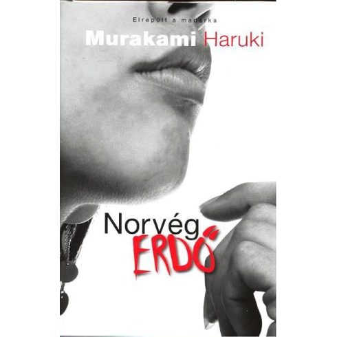 Murakami Haruki: Norvég erdő