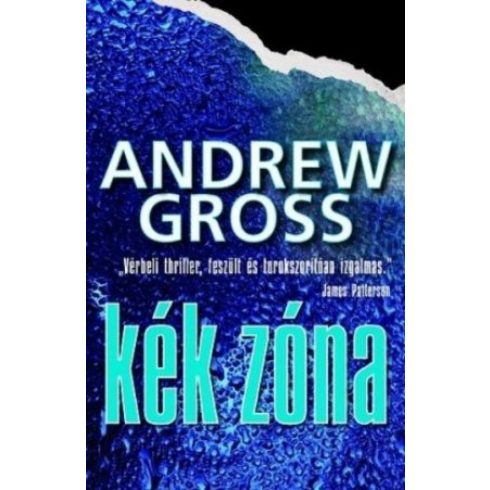 Andrew Gross: Kék zóna