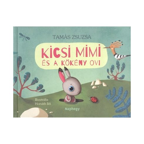 Tamás Zsuzsa: Kicsi Mimi és a Kökény ovi