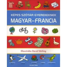 Neil Morris: Képes szótár gyerekeknek - magyar-francia
