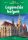 VIDA PÉTER: LEGENDÁS HELYEK - VÁR RÁD MAGYARORSZÁG