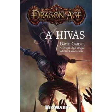 David Gaider: Dragon Age - A hívás