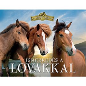   Bagoly Ilona, Horváthné Czentye Ibolya: Ismerkedés a lovakkal - A lovak világa (antikvár)
