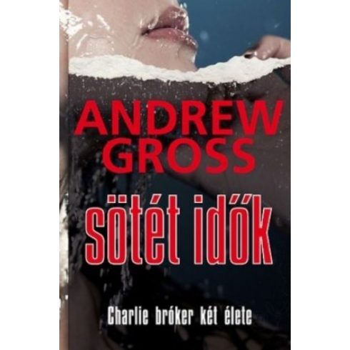 Andrew Gross: Sötét idők - Charlie bróker két élete