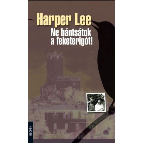 Harper Lee: Ne bántsátok a feketerigót!