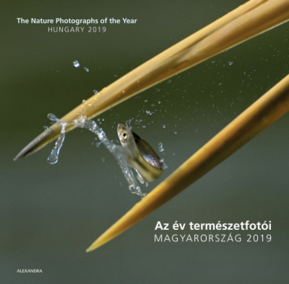 : Az év természetfotói - Magyarország 2019 - The Nature Photographs of the Year - Hungary 2019